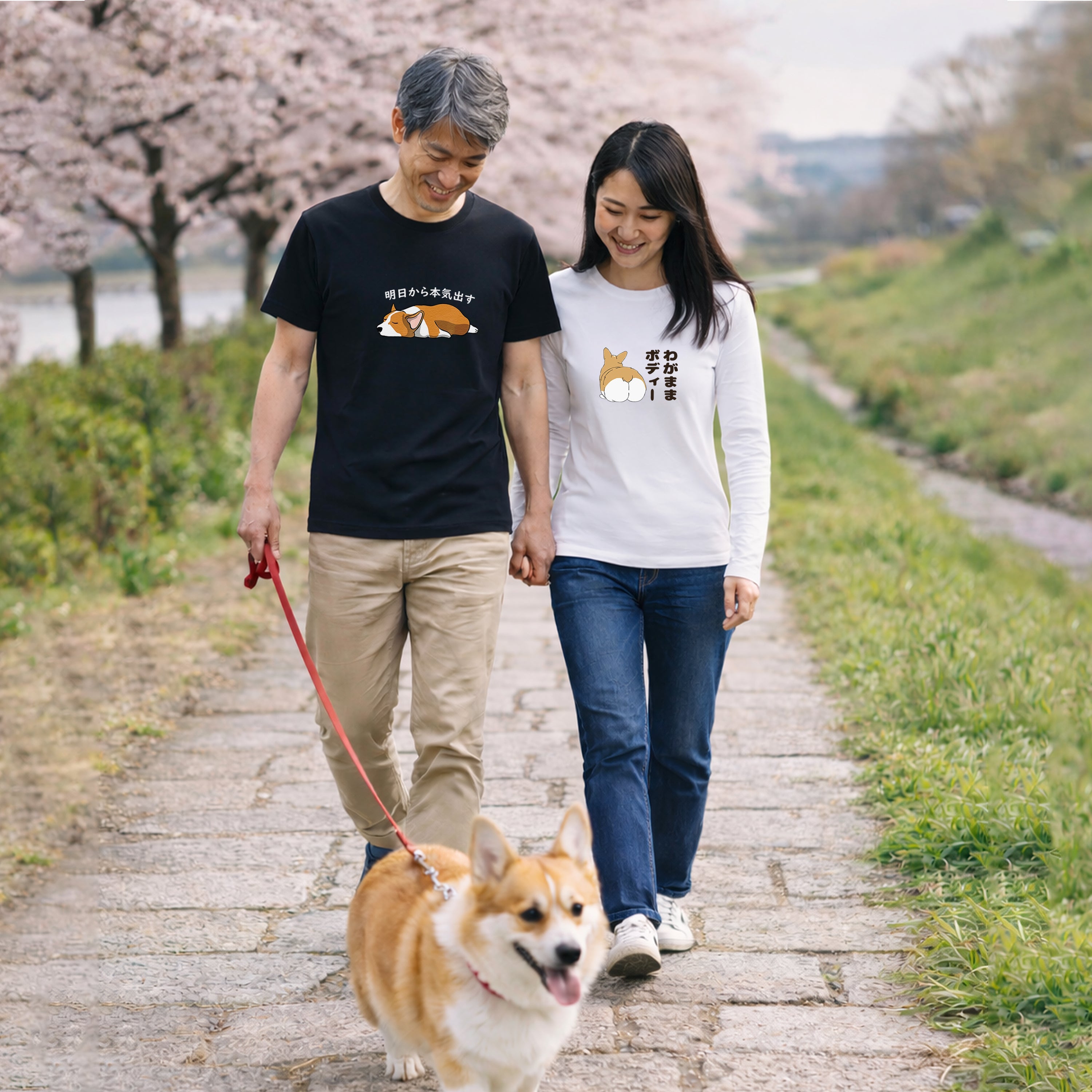 Corgi – InuJoy