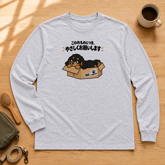 02-longsleeve-gray.jpg