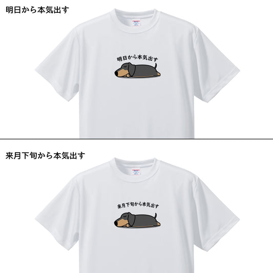 犬tシャツ ドライTシャツ シルキータッチTシャツ いぬ 犬イラスト おもしろ tシャツ ダックス フンド 明日から本気出す/ 来月下旬から本気出す