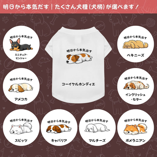 【犬種選べる・名前入れ可能】明日から本気だす 犬用Tシャツ 犬服|綿100%・小型~中型犬