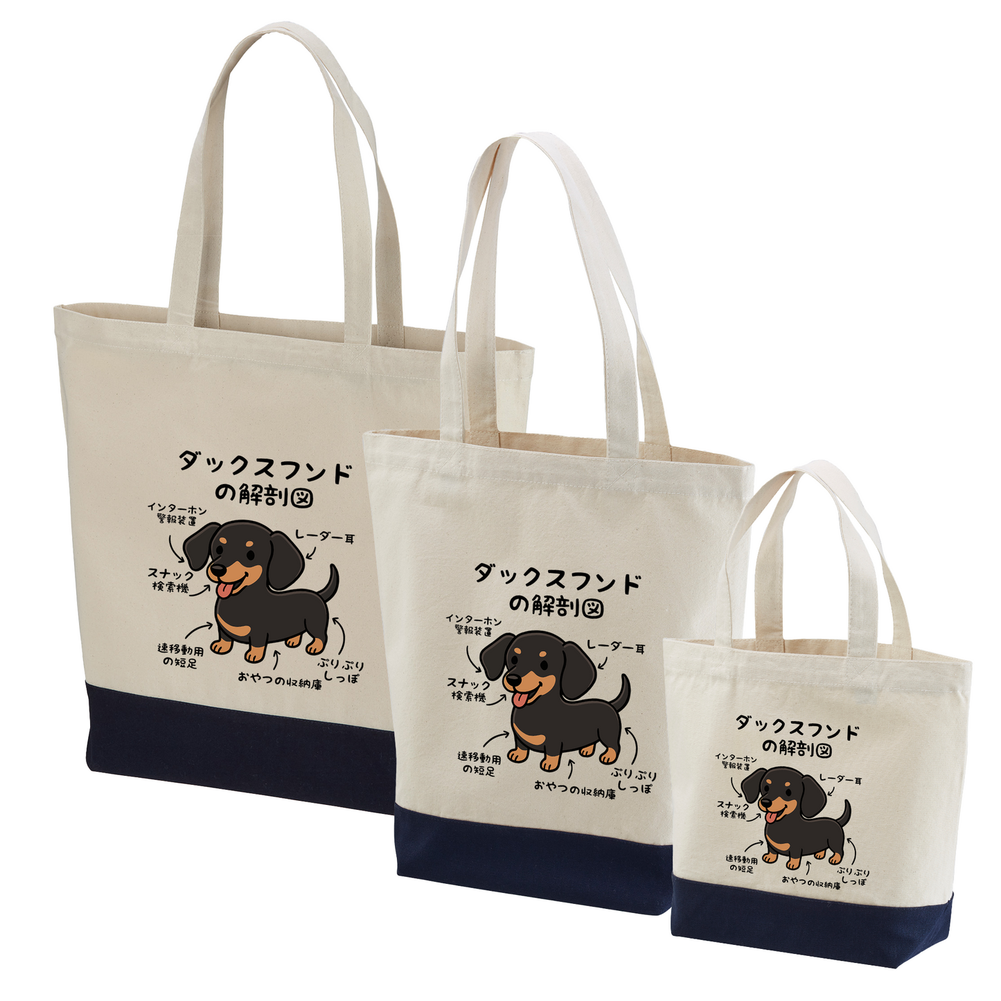 犬トート バッグ 犬 エコ バッグ ダックスフンドの解剖図