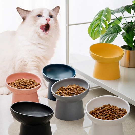 食器 フードボウル 吐き戻し防止 犬 ペットボウル ペット食器 餌皿 エサ皿 水飲み 傾斜 斜め 負担軽減 食べやすい 水分補給 陶器 セラミック ペット用 猫用 犬用 ボウル【ギフトラッピング対象外】