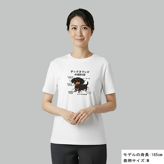 犬 tシャツ 犬イラスト ダックスフンドの解剖図|アダルト&キッズサイズ