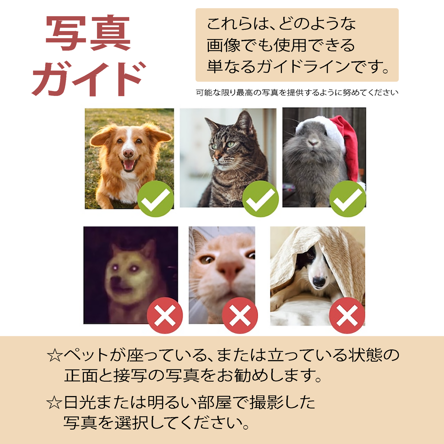 【名入れ対応】ペット写真キーホルダー|犬・猫オリジナル写真入り|うちの子グッズ・誕生日ギフトに人気 | Inujoy