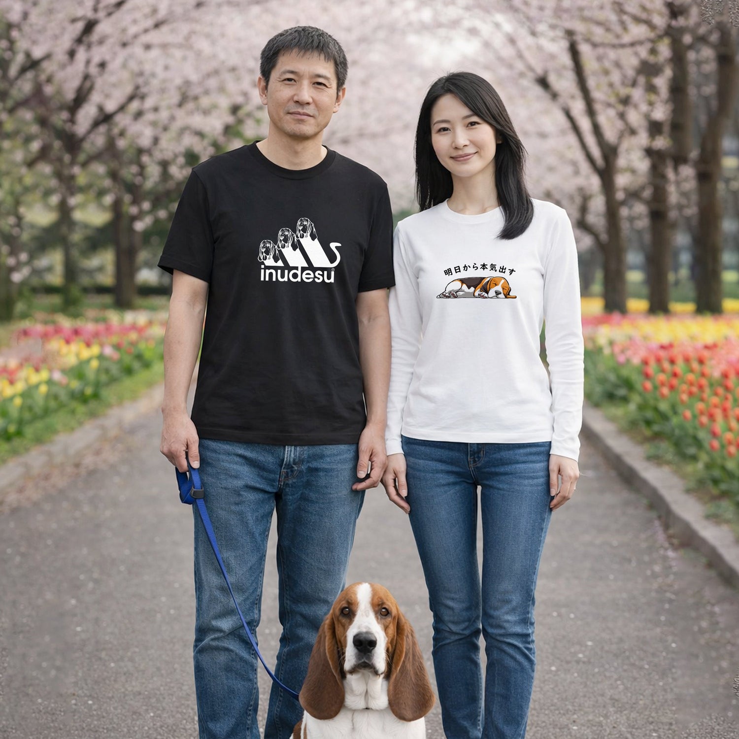 バセットハウンド