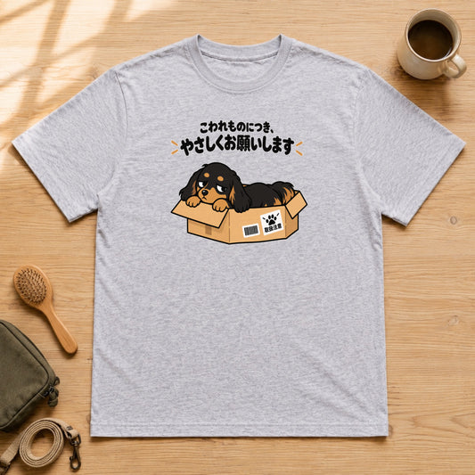 02-tshirt-gray.jpg