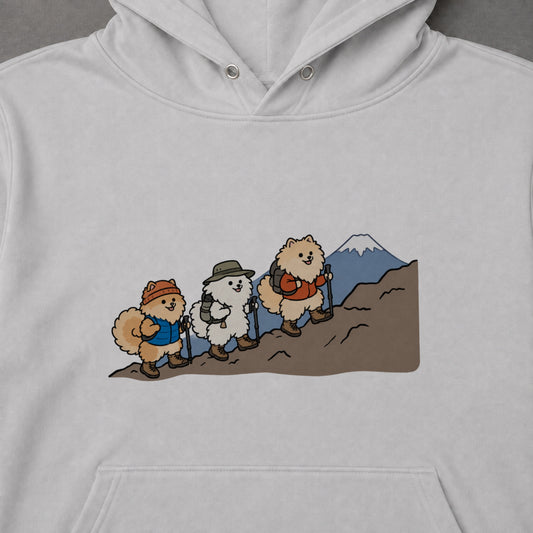 03-hoodie-gray.jpg