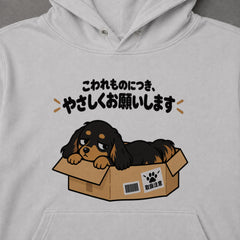 03-hoodie-gray.jpg