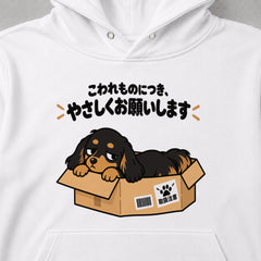 05-hoodie-white.jpg