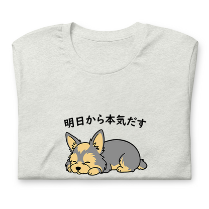 犬 tシャツ 犬イラスト ヨーキー犬 明日から本気出す｜アダルト&キッズサイズ