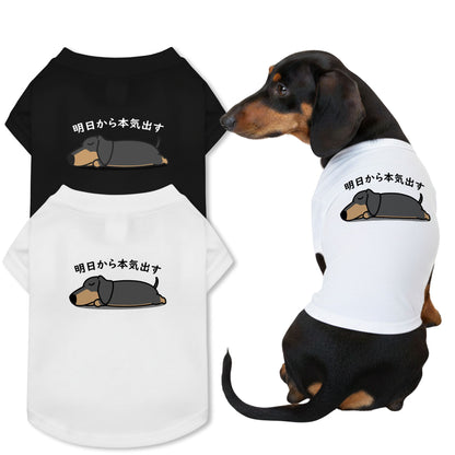 【犬種選べる・名前入れ可能】明日から本気だす 犬用Tシャツ 犬服｜綿100%・小型～中型犬