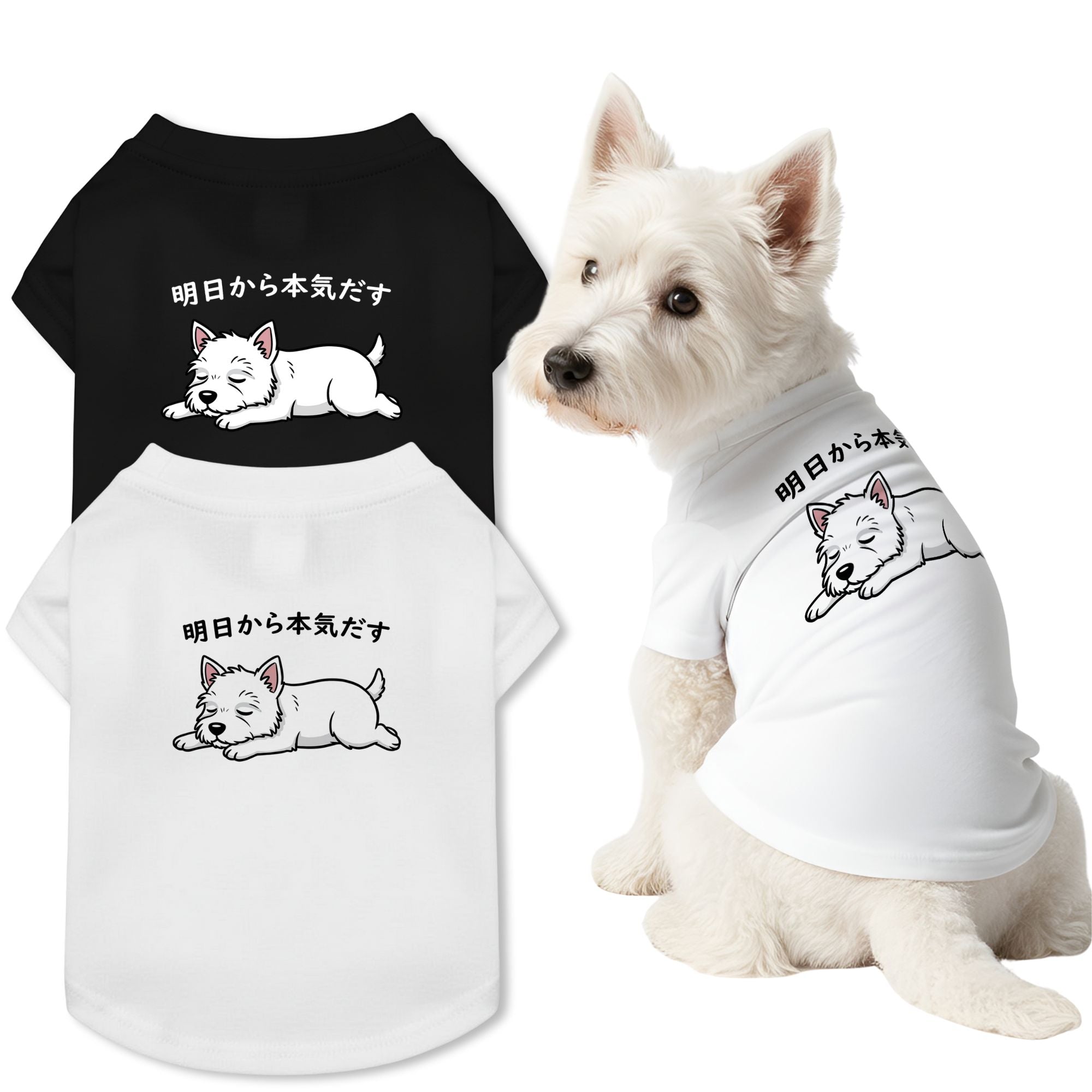 犬種選べる・名前入れ可能】明日から本気だす 犬用Tシャツ 犬服｜綿100