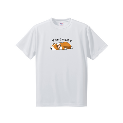 犬tシャツ ドライTシャツ シルキータッチTシャツ いぬ 犬イラスト おもしろ tシャツ Corgi犬 明日から本気出す/ 来月下旬から本気出す