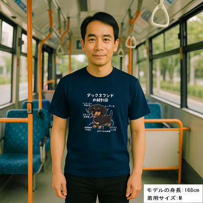 犬tシャツ ドライTシャツ シルキータッチTシャツ いぬ 犬イラスト おもしろ tシャツ 犬  ダックスフンドの解剖図