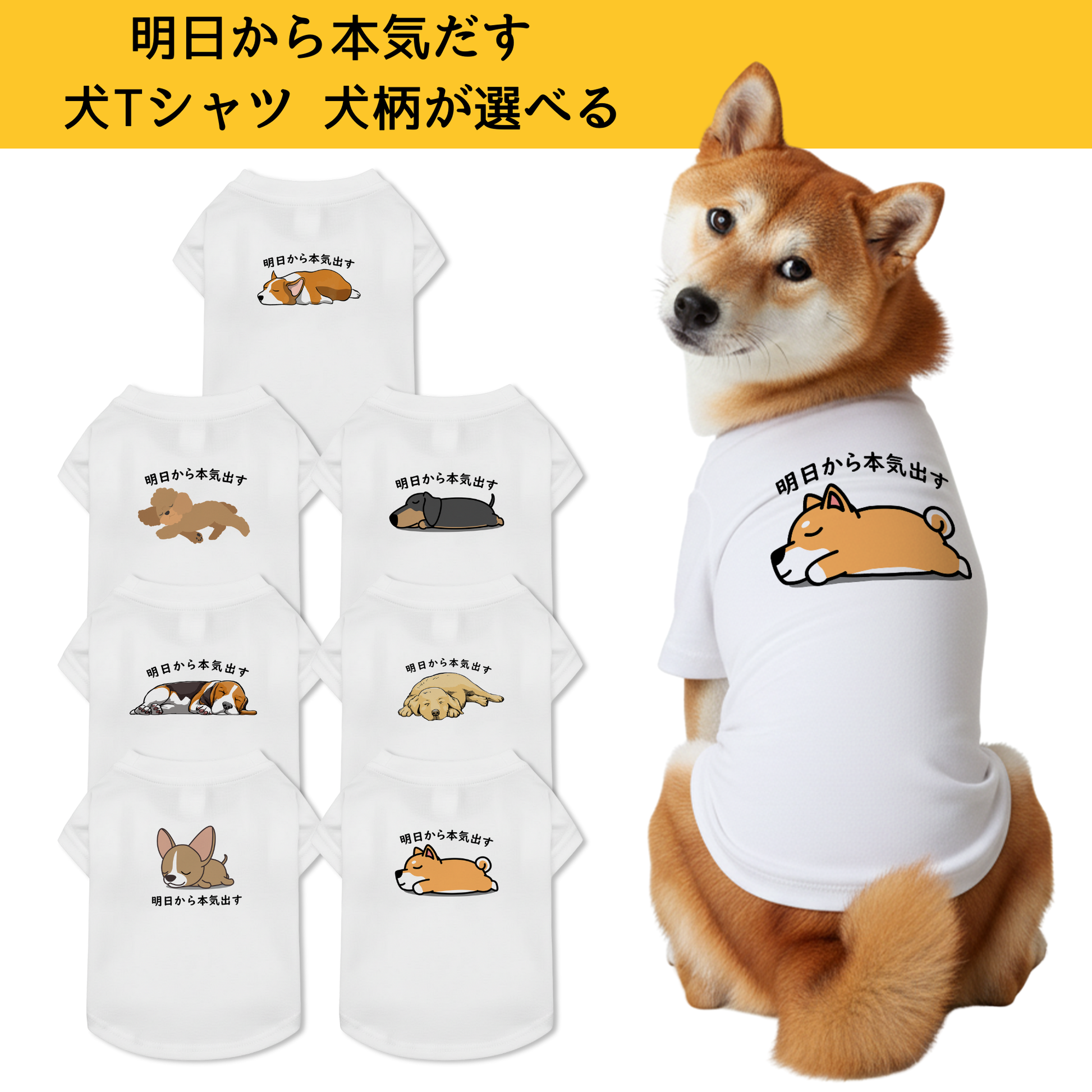 ただのいぬ 犬種選べる・名入れ可能】明日から本気だす 犬用Tシャツ 犬服