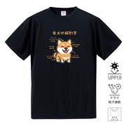 犬tシャツ ドライTシャツ シルキータッチTシャツ いぬ 犬イラスト おもしろ tシャツ 犬  柴犬 の解剖 学 赤柴/黒柴