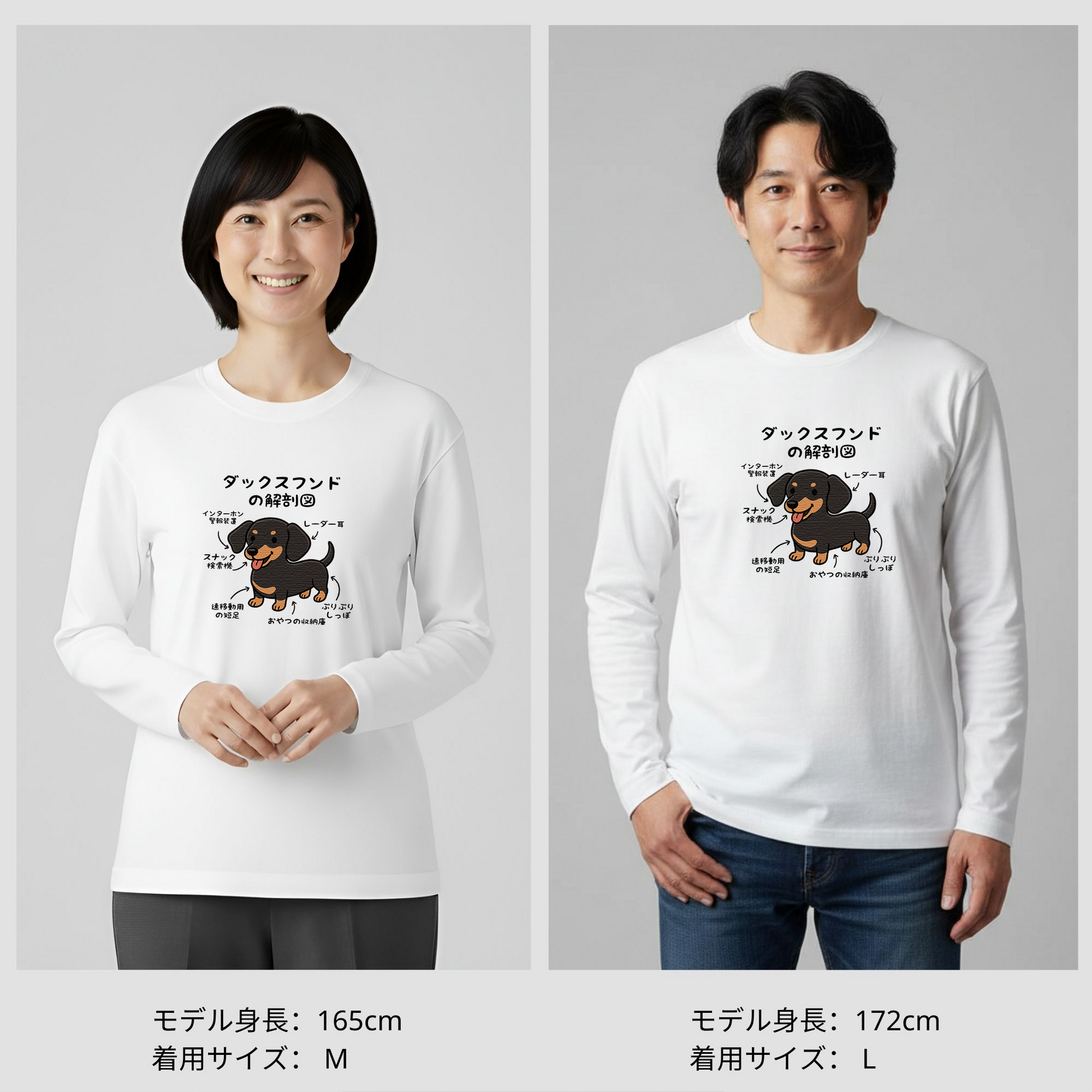 犬 ロン t 犬 長袖 シャツ いぬ 犬イラストダックスフンドの解剖図 犬 ロン t 犬 長袖 シャツ いぬ 犬イラストダックスフンドの解剖図