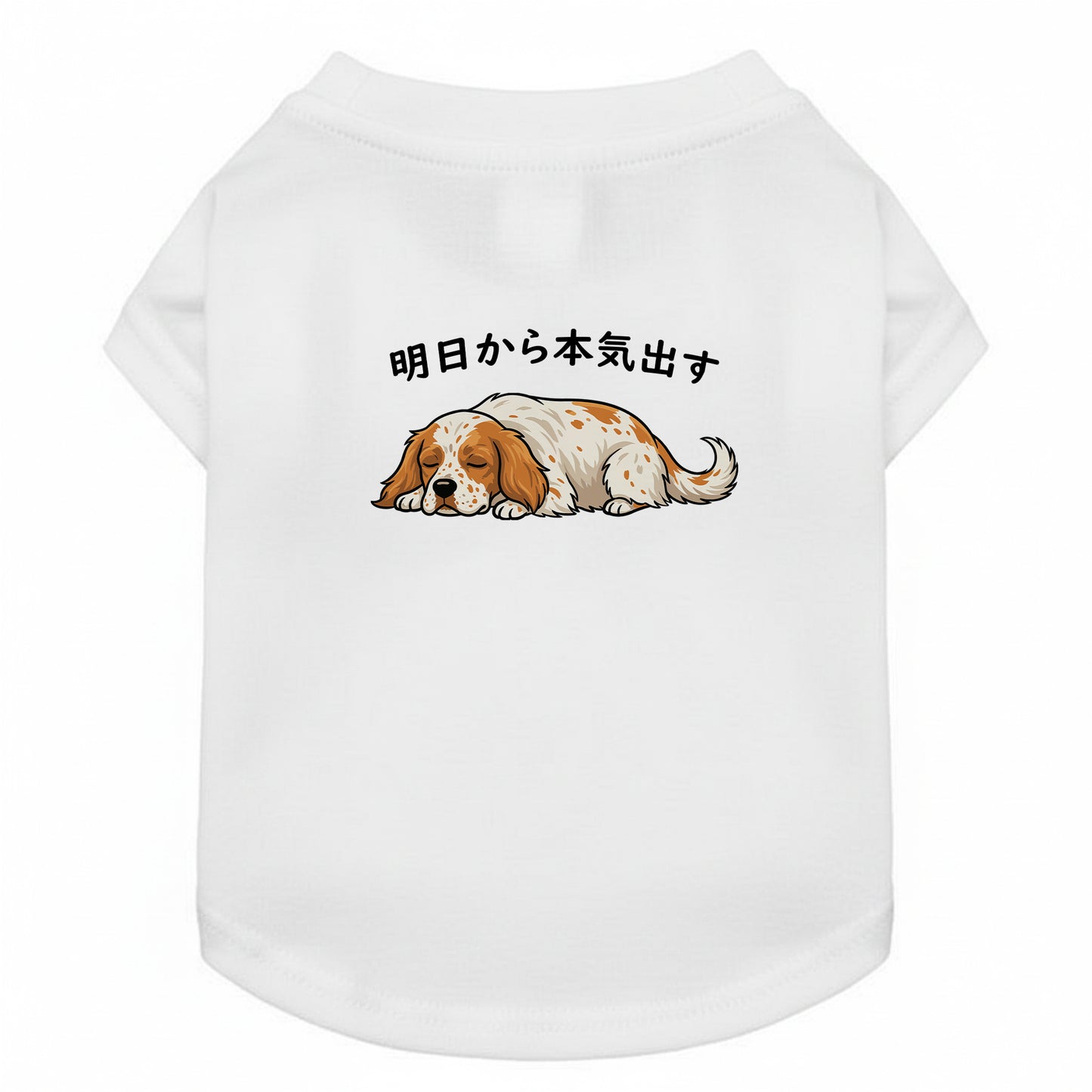 イングリッシュ・セター 犬用Tシャツ ワンちゃんTシャツ 犬服 柴犬Tシャツ｜綿100%・小型～中型犬