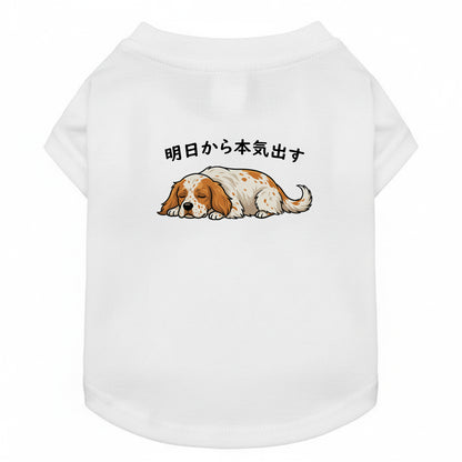 イングリッシュ・セター 犬用Tシャツ ワンちゃんTシャツ 犬服 柴犬Tシャツ｜綿100%・小型～中型犬
