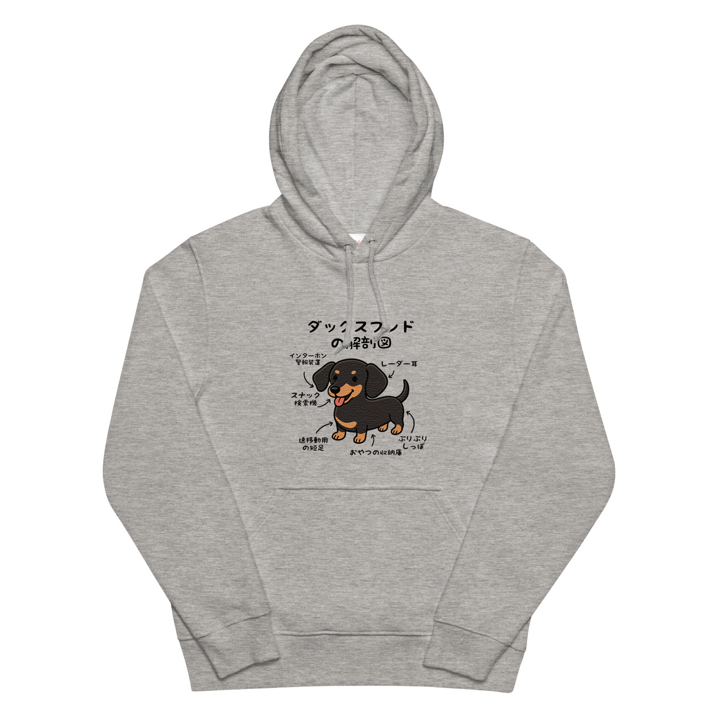 犬 パーカー 犬イラスト いぬ かわいい ダックスフンドの解剖図