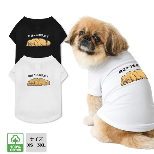 ペキニーズ犬デザイン 犬用Tシャツ ワンちゃんTシャツ 犬服 柴犬Tシャツ｜綿100%・小型～中型犬