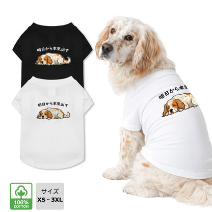 イングリッシュ・セター 犬用Tシャツ ワンちゃんTシャツ 犬服 柴犬Tシャツ｜綿100%・小型～中型犬