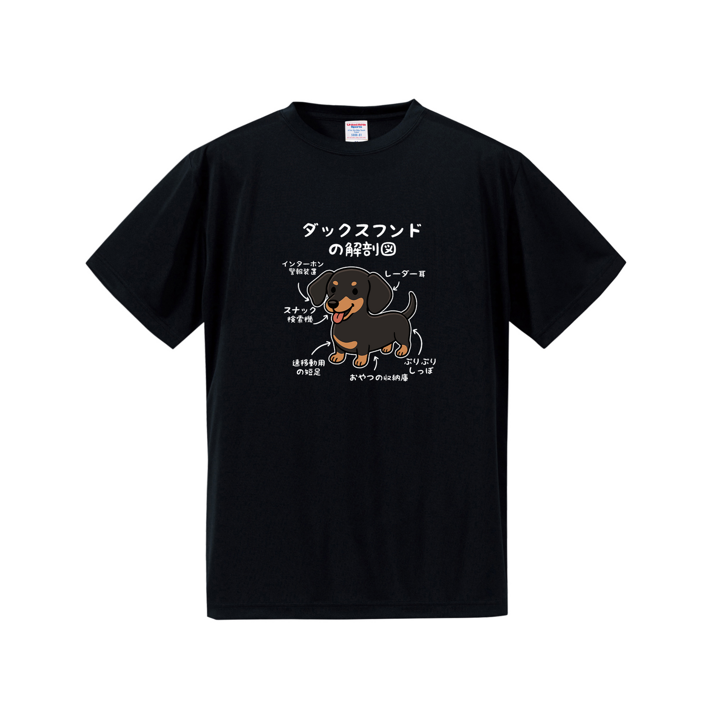 犬tシャツ ドライTシャツ シルキータッチTシャツ いぬ 犬イラスト おもしろ tシャツ 犬  ダックスフンドの解剖図