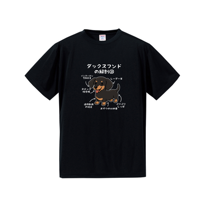 犬tシャツ ドライTシャツ シルキータッチTシャツ いぬ 犬イラスト おもしろ tシャツ 犬  ダックスフンドの解剖図