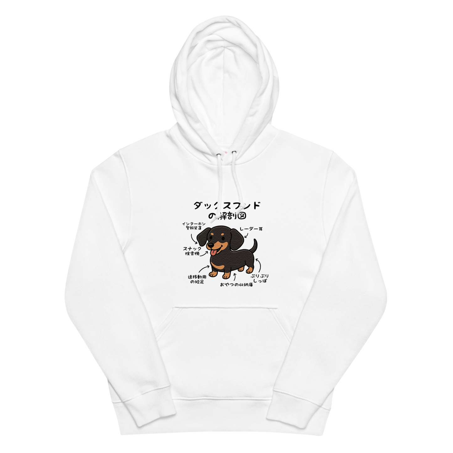 犬 パーカー 犬イラスト いぬ かわいい ダックスフンドの解剖図