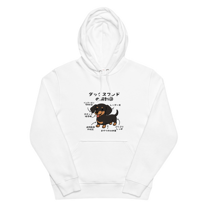 犬 パーカー 犬イラスト いぬ かわいい ダックスフンドの解剖図