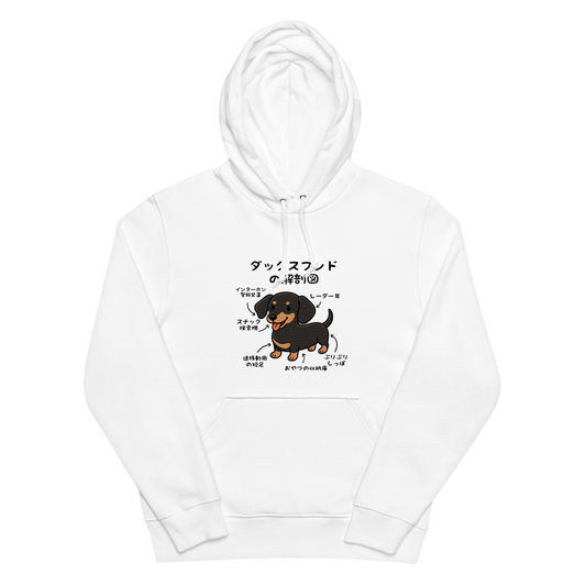 犬 パーカー 犬イラスト いぬ かわいい ダックスフンドの解剖図