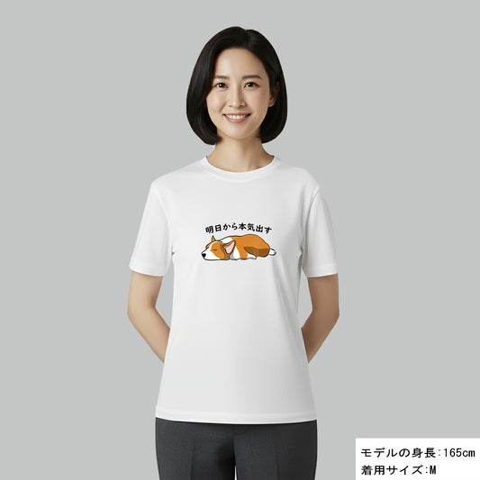 犬 tシャツ 犬イラスト コーギー犬 明日から本気出す｜アダルト&キッズサイズ