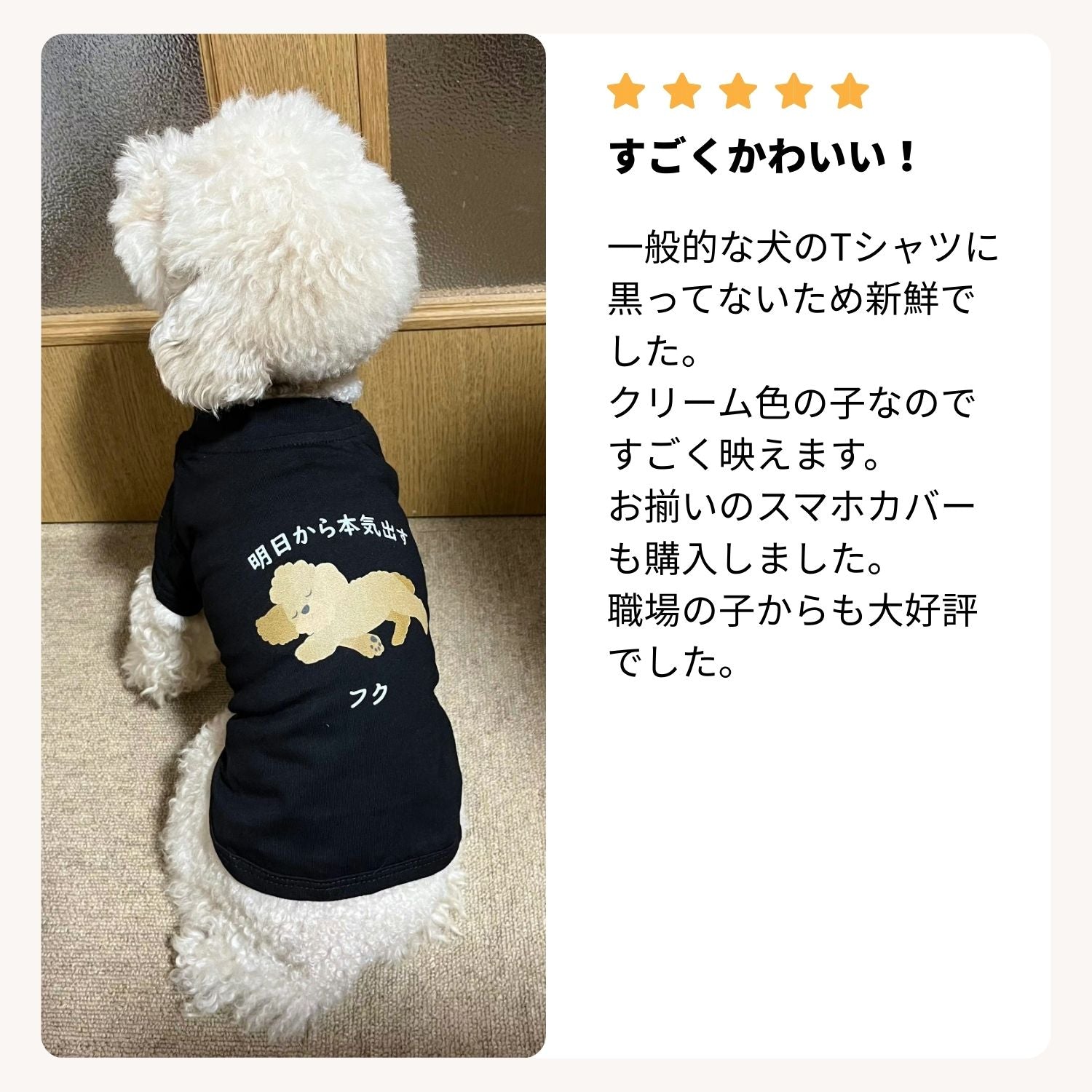 犬種選べる・名前入れ可能】明日から本気だす 犬用Tシャツ 犬服｜綿100