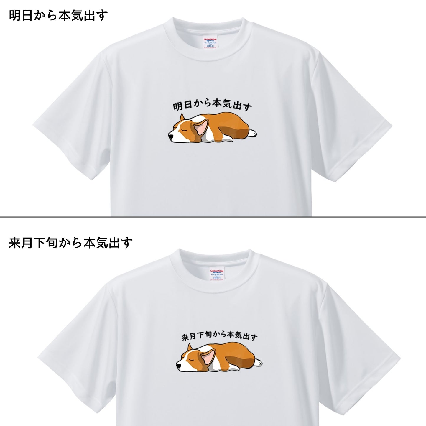 犬tシャツ ドライTシャツ シルキータッチTシャツ いぬ 犬イラスト おもしろ tシャツ Corgi犬 明日から本気出す/ 来月下旬から本気出す