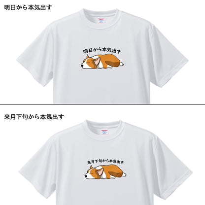 犬tシャツ ドライTシャツ シルキータッチTシャツ いぬ 犬イラスト おもしろ tシャツ Corgi犬 明日から本気出す/ 来月下旬から本気出す