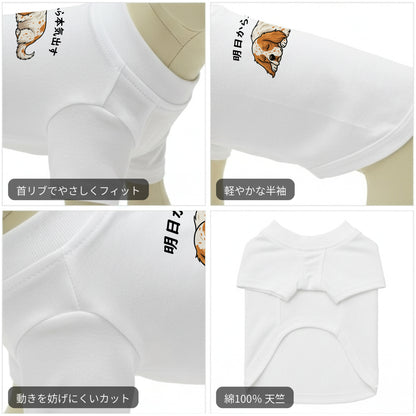 イングリッシュ・セター 犬用Tシャツ ワンちゃんTシャツ 犬服 柴犬Tシャツ｜綿100%・小型～中型犬