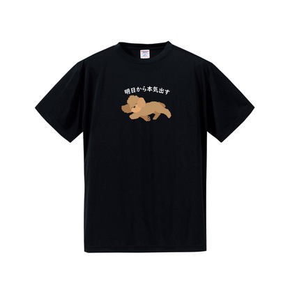 犬tシャツ ドライTシャツ シルキータッチTシャツ いぬ 犬イラスト おもしろ tシャツ プードル犬 明日から本気出す/ 来月下旬から本気出す