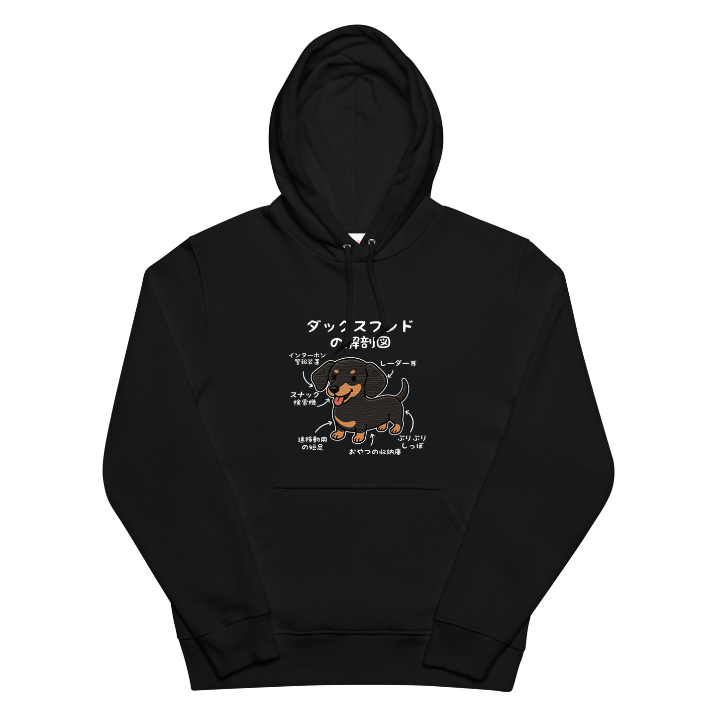 犬 パーカー 犬イラスト いぬ かわいい ダックスフンドの解剖図