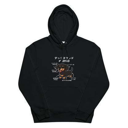 犬 パーカー 犬イラスト いぬ かわいい ダックスフンドの解剖図