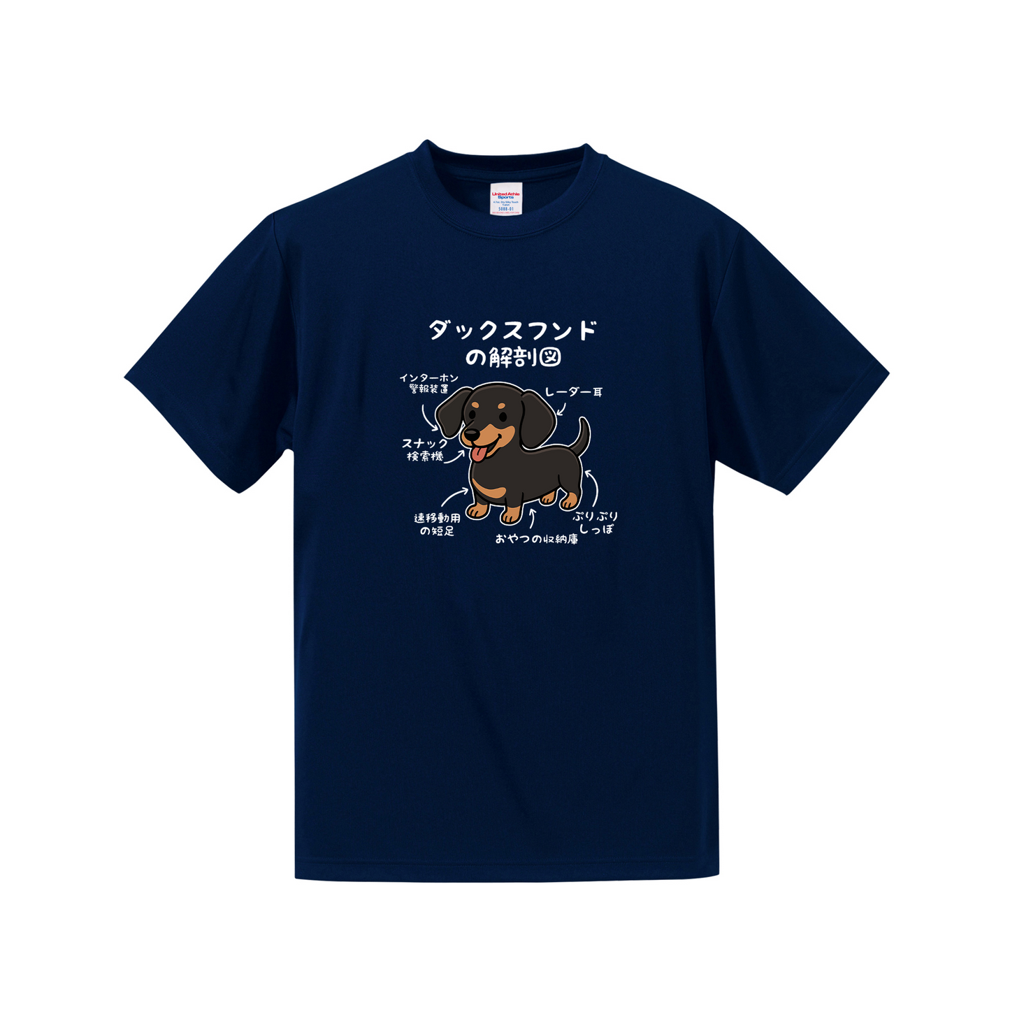 犬tシャツ ドライTシャツ シルキータッチTシャツ いぬ 犬イラスト おもしろ tシャツ 犬  ダックスフンドの解剖図