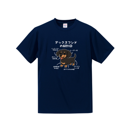 犬tシャツ ドライTシャツ シルキータッチTシャツ いぬ 犬イラスト おもしろ tシャツ 犬  ダックスフンドの解剖図