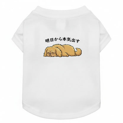 ペキニーズ犬デザイン 犬用Tシャツ ワンちゃんTシャツ 犬服 柴犬Tシャツ｜綿100%・小型～中型犬