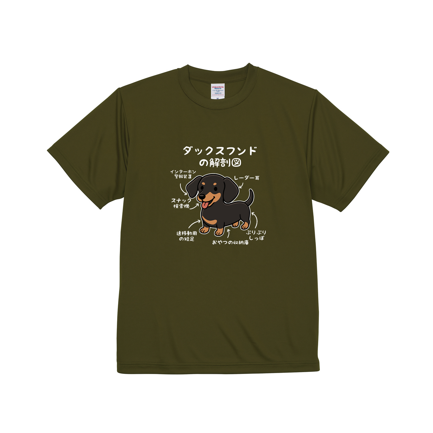 犬tシャツ ドライTシャツ シルキータッチTシャツ いぬ 犬イラスト おもしろ tシャツ 犬  ダックスフンドの解剖図