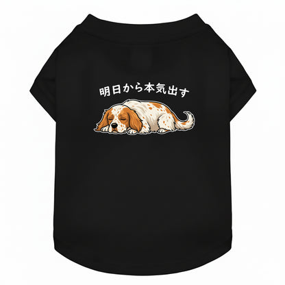 イングリッシュ・セター 犬用Tシャツ ワンちゃんTシャツ 犬服 柴犬Tシャツ｜綿100%・小型～中型犬
