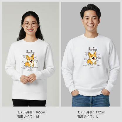 犬 トレーナー いぬ かわいい 犬イラストコーギーの解剖図