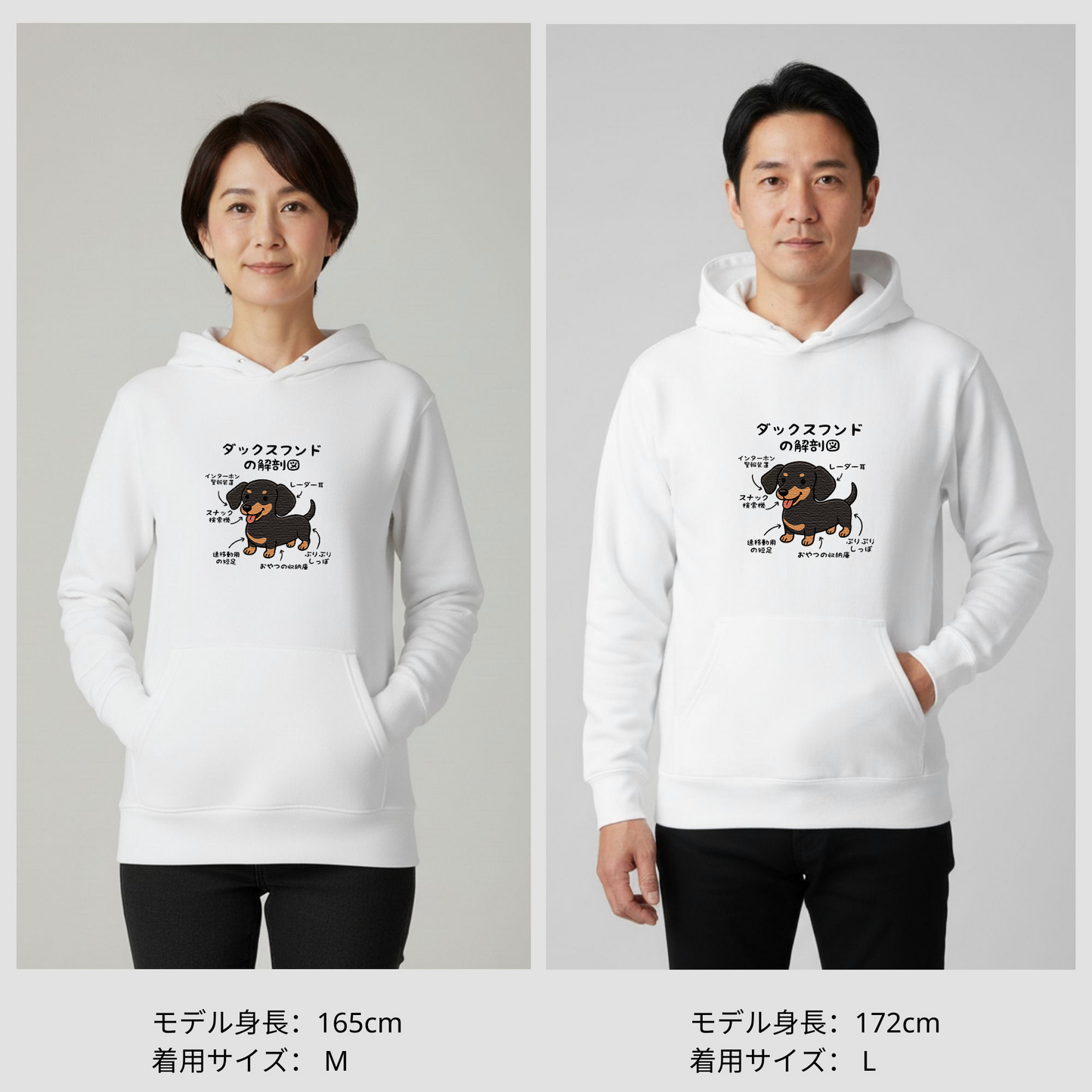 犬 パーカー 犬イラスト いぬ かわいい ダックスフンドの解剖図