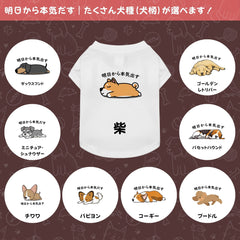 【犬種選べる・名前入れ可能】明日から本気だす 犬用Tシャツ 犬服｜綿100%・小型～中型犬
