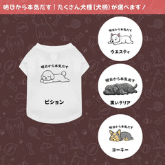 【犬種選べる・名前入れ可能】明日から本気だす 犬用Tシャツ 犬服｜綿100%・小型～中型犬