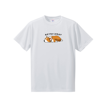 犬tシャツ ドライTシャツ シルキータッチTシャツ いぬ 犬イラスト おもしろ tシャツ Corgi犬 明日から本気出す/ 来月下旬から本気出す