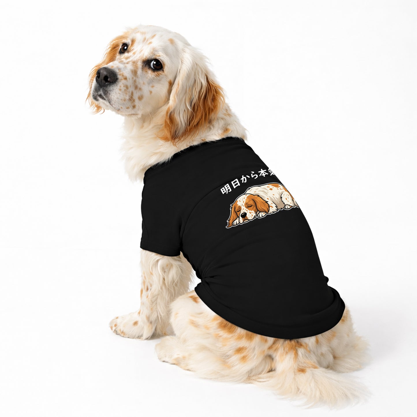 イングリッシュ・セター 犬用Tシャツ ワンちゃんTシャツ 犬服 柴犬Tシャツ｜綿100%・小型～中型犬